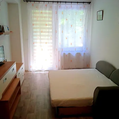 Apartment Soukromy Apartman Vsemina